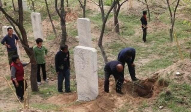 庇荫后代的祖坟风水是什么样的?为什么重视祖先的坟墓? 第1张 庇荫后代的祖坟风水是什么样的?为什么重视祖先的坟墓? 第1张