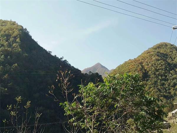 【民俗文化】洛塘丧葬习俗中的跪香 第11张