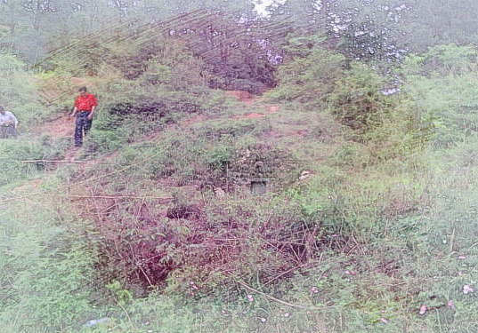图解龟形墓地风水与龙、麒麟、凤凰的区别 第1张