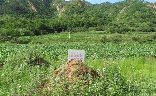会危害家中后代健康的祖坟风水有哪些? 第1张