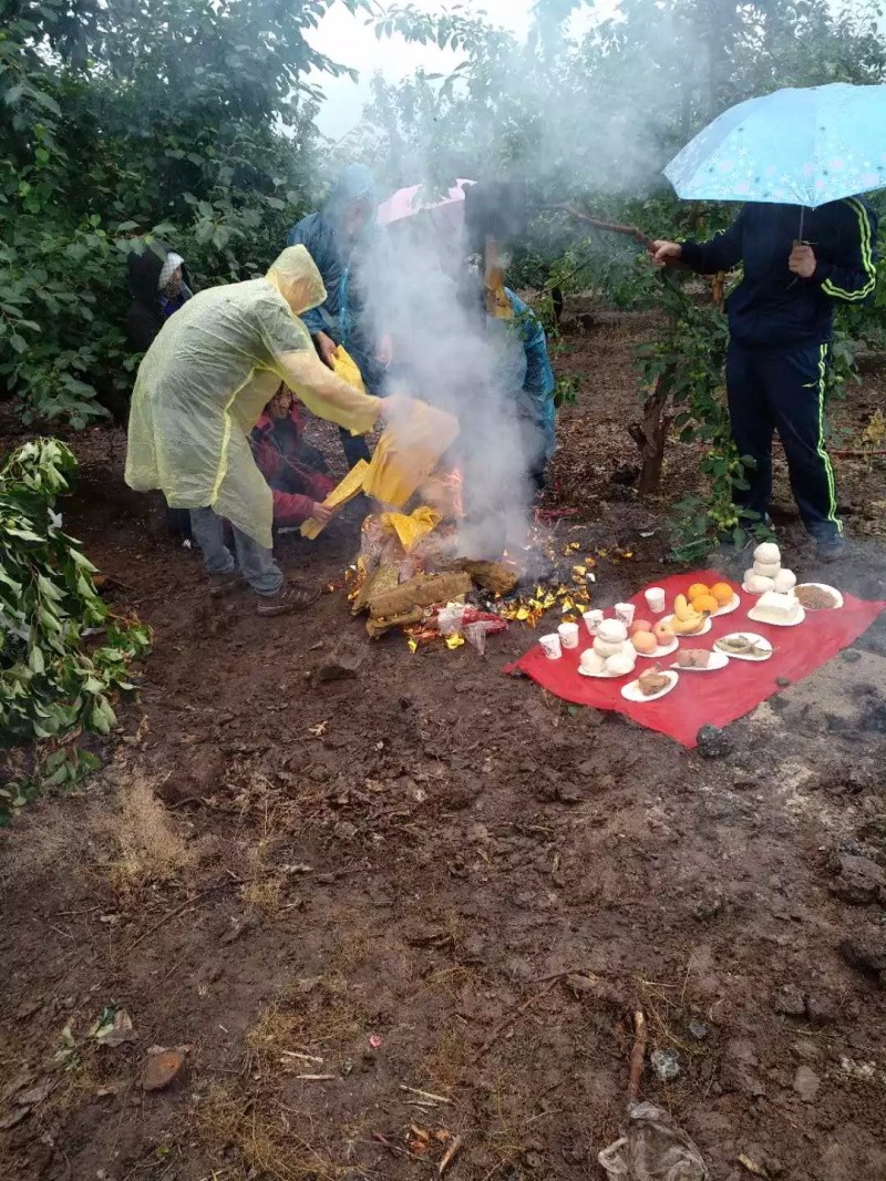 吊天星应天象墓地风水案例 第4张