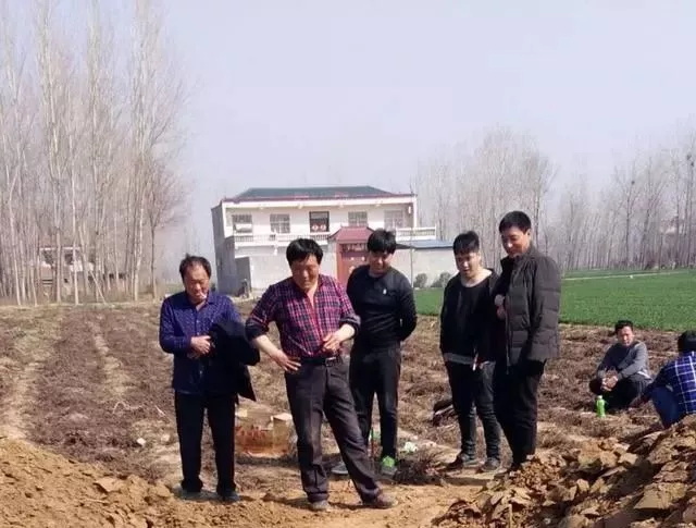 丧葬习俗:打墓 第1张