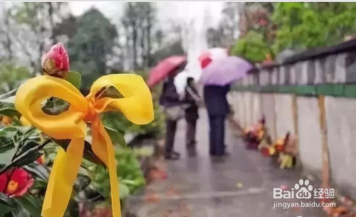 �����ڼ���������������룿 ��5��