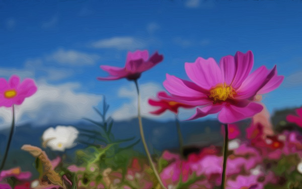 坟墓风水:不适合下葬的凶坟 第1张 坟墓风水:不适合下葬的凶坟 第1张