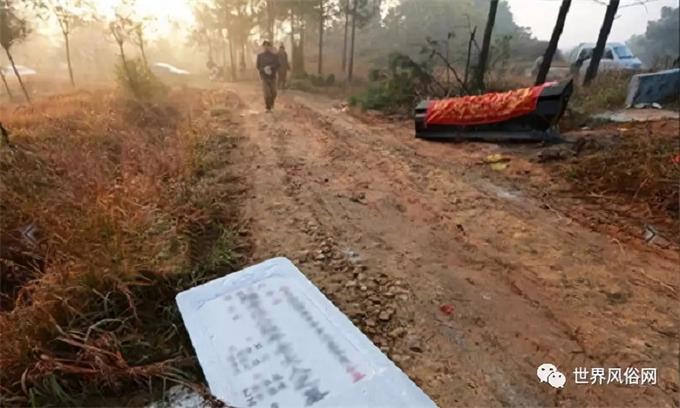 1533776905117278.jpg 1(1).jpg