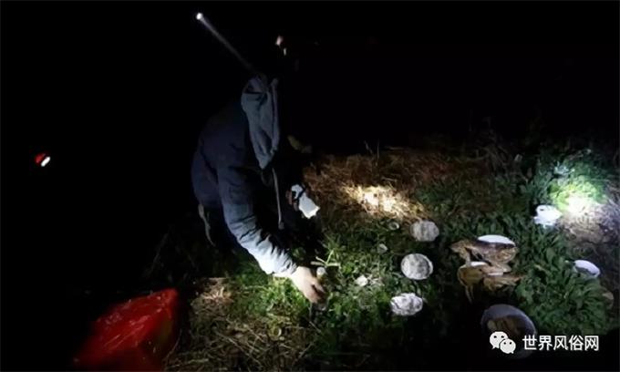 1533776929493531.jpg 2(1).jpg