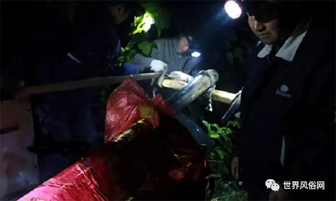 1533776935117601.jpg 3(1).jpg