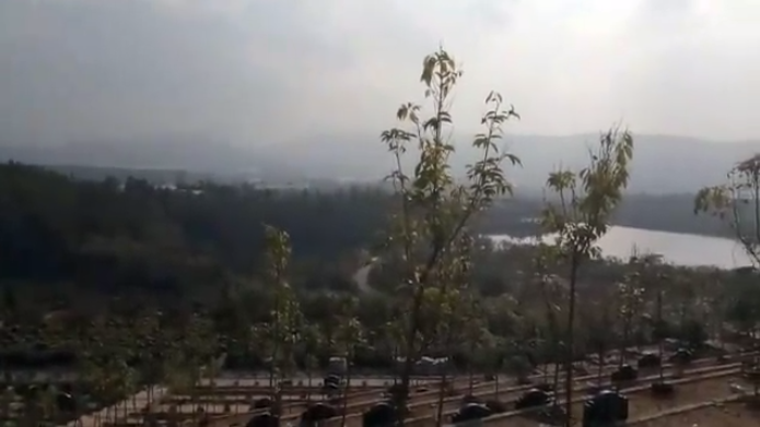 1554081550614321.png 图片1.png